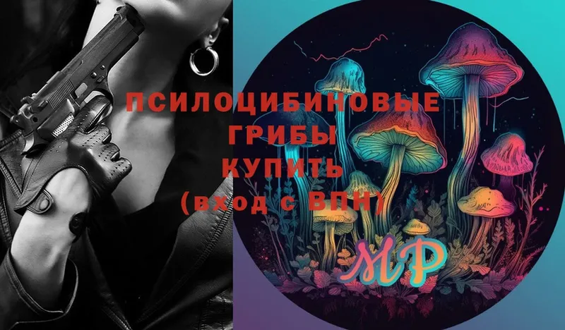 Галлюциногенные грибы Magic Shrooms Казань